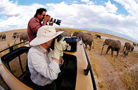 Wildlife Photography Tips for Safaris