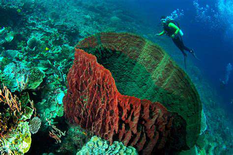 Guide to Underwater Photography