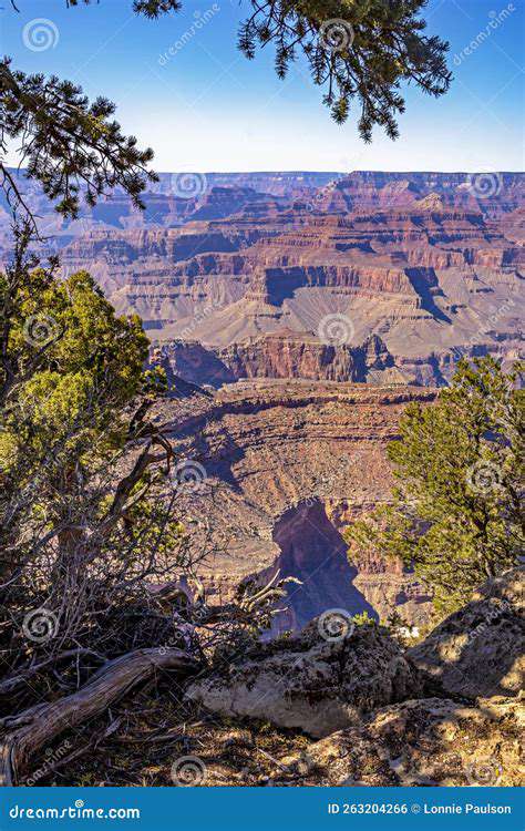 ExploringtheVastnessoftheUniverse:NationalParksandDarkSkyReserves