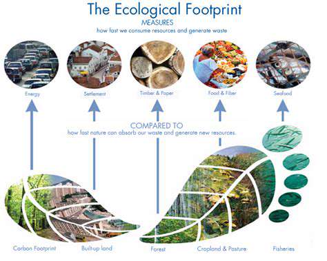 Guide to Sustainable Travel Practices