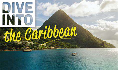 Best Diving Spots in the Caribbean [Underwater Guide]