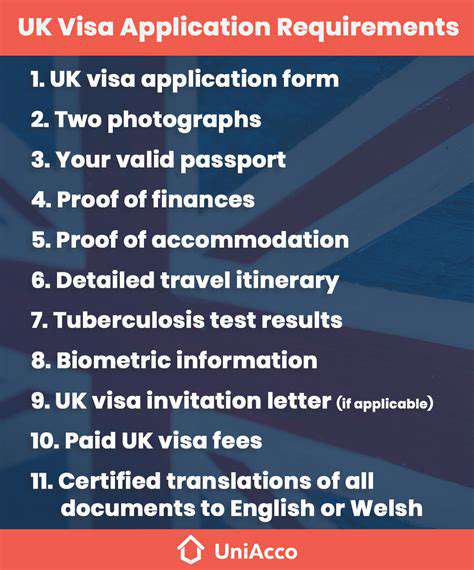 Understanding E Visas: A Quick Guide