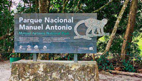 DelveintotheDryForestsofManuelAntonioNationalPark
