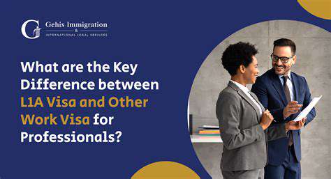 Understanding Diplomatic and Official Visas
