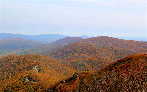 Best Road Trips in the USA for Fall Foliage
