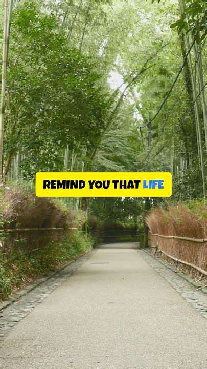 BeyondtheTouristTraps:DiscoveringtheEssenceofJapan