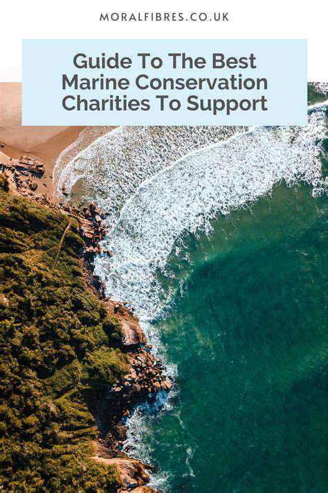 ChoosingtheRightMarineConservationProject