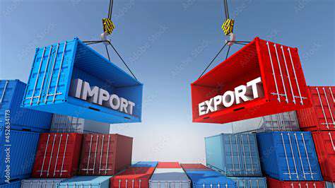 Customs Rules for Bringing Artwork into [Country]