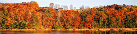 NortheasternCharm:NewEngland'sFoliageExtravaganza