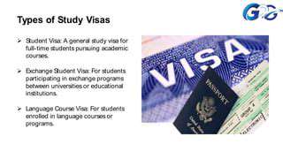 Understanding Different Types of Travel Visas